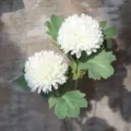 White Artificial Chrysanthemum Flower Single Silk Plant Rustic Home Table Decor Variant - White