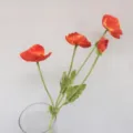 Detail view of vibrant orange artificial poppy flowers in a clear glass vase for decor. - Sunset