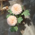Artificial peach chrysanthemum flower single stem silk floral decor for home table pastoral style - Champagne