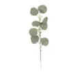 Artificial Eucalyptus Branch Fake Dollar Leaf Greenery DIY Floral Arrangement Home Decor - 10 Heads Round Leaves with Fruit