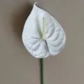 Artificial white anthurium flower single stem plastic plant for home wedding decor - White