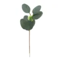 Single branch artificial eucalyptus leaves with fruit for floral arrangement home table decor. - 04D