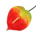 Artificial anthurium flower single red and green plastic fake plant home wedding decoration SKU - Orange