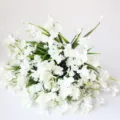 White artificial flower bouquet, plastic phalaenopsis for home decoration and floral arrangement. - White
