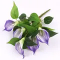 Bouquet de lys calla artificiels EVA à 5 têtes, fleurs violettes pour la maison. - Violet
