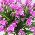 Artificial Pink Orchid Faux Flower Potted Plant Greenery for Interior Home Decoration - Fuschia