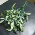 Detailed view of artificial eucalyptus leaves branch, frosted green plant for floral arrangements. - DF-1