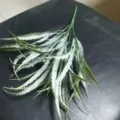 Artificial eucalyptus leaves branch fake greenery plant for wedding bouquet floral decor detail - DF-5