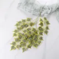 Detalle de enredadera de hiedra artificial, hojas de seda de planta verde para decoración y arte. - L / Borde Amarillo