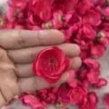 Red artificial plum blossom fabric flower heads for DIY floral crafts and hair accessories - Rose Red