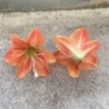 Artificial silk lily flower heads for DIY handmade hair clips garments accessories orange - Color 6