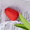 Artificial PU red tulip flower simulation single stem home living room table decoration - Bright Red