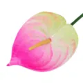 Artificial anthurium single stem pink yellow plastic flower for home wedding decor SKU - Pink