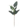 Kunstmatige eucalyptus tak met witte vruchten, groene bladeren variant voor huisdecoratie. - 05B