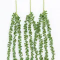 Artificial string of pearls hanging plant fake succulent vine for wall decor home green - 3-Prong 1 Piece / Green