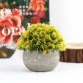 Mini artificial potted plant, small green foliage with grey round pot for indoor home and office desk decor. - Guozi Grass / With Pot