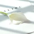 Mini Calla Lis Artificiel Fleur Simple Branche Blanc PU Variante pour Décoration - Blanc