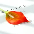 Mini Lys Arum Artificiel PU Tige Unique Dégradé Rouge Décoration Maison Accessoire - Orange