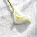 Artificial white calla lily PU flower ornament 65cm for home indoor desktop decor - White