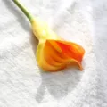 Artificial Calla Lily Flower Yellow PU Fake Floral Arrangement for Home Table Decor - Orange