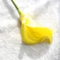 Artificial Calla Lily Yellow PU Flower Home Decor Table Centerpiece Fake Floral Display - Yellow