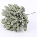 Artificial frosted pinecone bouquet artificial plant wall decor DIY floral arrangement material - Green Bouquet (10 Branches)