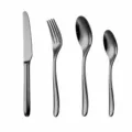 Stainless steel flatware set with knife fork and spoons, modern ergonomic tableware 4pcs - Black 4-Piece Set