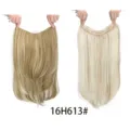 Gedetailleerd overzicht van synthetische haarverlenging met clips en laagjes. - 16H613# Highlight