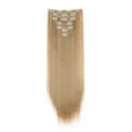 Long blonde synthetic hair extensions detail, 16 clips 7 pieces set, straight hair clip in. - Honey Blonde Mixed Bleach Blonde