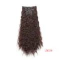 Dark Brown Wavy Clip-In Hair Extensions 2M33# Long Curly Hair Piece for Women Daily Wear - 2M33# Dark Brown