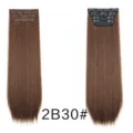 Long straight brown hair extensions clip in synthetic hair pieces for women daily use. - Brown Ombre (2B/30)