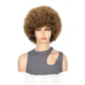 Kurze Afro-Locken-Perücke, flauschige braune Kunsthaar-Perücke für Damen Party Alltag. - 1B/27#