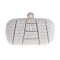 Handgemaakte parel strass avondtas detail, elegante bruiloft feest handtas voor vrouwen. - Wit