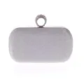 Zilveren strass ring clutch tas detail, elegante avondtas close-up, glinsterende box tas. - Zilver