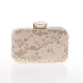 Exquisito bolso de mano de encaje beige con marco metálico y cierre de diamantes brillantes. - Albaricoque