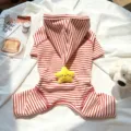Red white striped pet hoodie with cute star plush toy, ideal for cats and small dogs daily wear. - XS / Red and White Striped