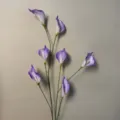 7-Head Calla Lily