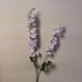 Pale Purple Chihiro