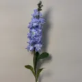 Large Delphinium
