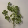 Ramo di fiori verdi artificiali in stile foresta per bouquet da sposa e sfondo vetrina - Dafne
