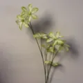 Stelo di fiore artificiale verde dettaglio per decorazione matrimonio e sfondo. - Clematide Verde