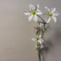 Vista ravvicinata di steli di fiori bianchi finti, elegante decorazione floreale. - Clematide Bianco