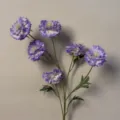 Cluster Flower