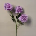 Princess Rose