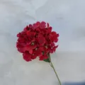 Nahaufnahme Detail eines künstlichen roten Hortensienblütenstiels für Hochzeitsdeko und Gestecke. - 216-Teilige Hortensie