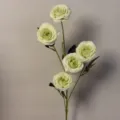 Primo piano sui dettagli del ramo di rose artificiali verdi con più fiori per decorazione. - Rosa Bolla Verde