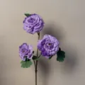 Layered Peony