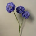 Austin Rose