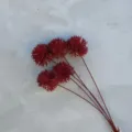 Rote künstliche Blumen Seidenblumen Strauß für Hochzeit Party Heimdekoration Blumenarrangement - 5-Kopf-Zwiebelball