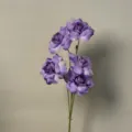 5-Head Rose